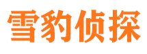 长葛市私家侦探公司